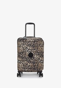 Selected, wild leopard