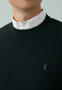 Maglione lavorato a maglia verde scuro con scollo a costine, indossato sopra una camicia bianca con colletto. Presenta un piccolo design ricamato sul petto.