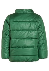 Zelená péřová bunda s vertikálním prošíváním, vysokým límcem a hladkým, lesklým povrchem. Obsahuje malé logo na levém rukávu.