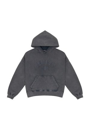 MARCEJ - Sweat à capuche - gray vintage