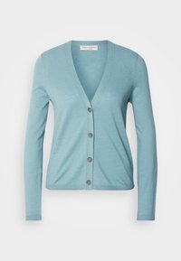 Cardigan bleu clair avec un col en V, des manches longues, cinq boutons sur le devant et une texture de tricot fin. Poignets et ourlet côtelés.