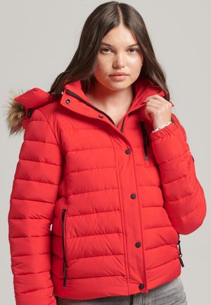Superdry & Co, HOODED PUFFER  - Chaqueta de invierno - high risk red
