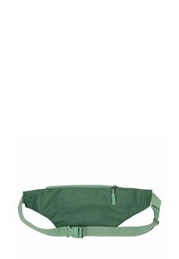 Groene heuptas gemaakt van duurzaam materiaal met een gladde textuur, voorzien van een ritscompartiment en een verstelbare strap.