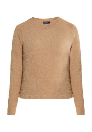 Pull en beige peluche avec un col rond et des manches longues. Fabriqué en matériau doux avec une finition texturée. Silhouette simple et décontractée.