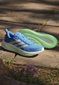 Chaussures de course Adidas bleues avec des semelles vert clair reposant sur un chemin en pierre avec des plantes et un soleil ombragé.