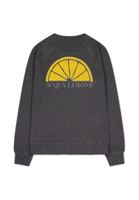 Grå sweatshirt med en grafik av en gul citronskiva och texten "ACQUA LIMONE" på baksidan. Raglanärmar med en texturerad finish.