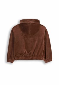 Brązowy welurowy hoodie z długimi rękawami, elastycznymi mankietami i elastycznym pasem, pokazany z tyłu na białym tle.