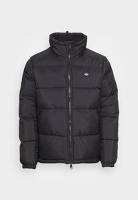 Dickies Vinterjacka - black