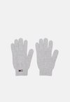 ELONGATED FLAG GLOVES - Guantes - silver grey heather