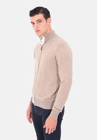 Maglione beige con zip, collo alto, polsini a coste e texture liscia. Indossato sopra una camicia bianca, abbinato a pantaloni scuri.