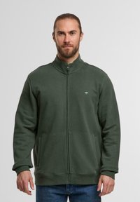 Grüner Reißverschluss-Sweatshirt mit hohem Kragen, Seitentaschen und kleinem Logo auf der Brust. Hergestellt aus weichem, strukturiertem Stoff.