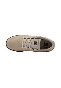 DC Shoes CRISIS 2 - Tenisice za trening - silver birch - solid