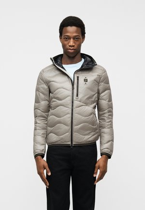 WAVE - Μπουφάν με πούπουλα - silver-coloured
