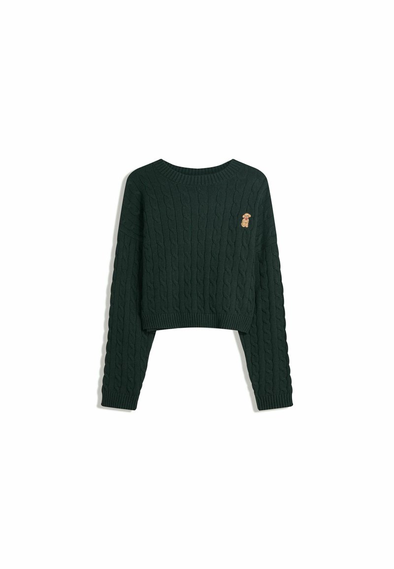 Groene kabelgebreide trui met een cropped ontwerp en lange mouwen, voorzien van een kleine geborduurde hond op de linker borst.