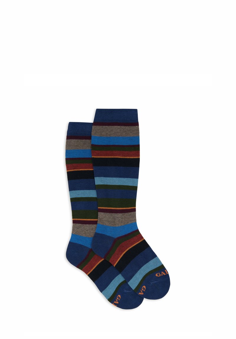 Coppia di calze a lunghezza vitello con strisce orizzontali nei colori blu, grigio, verde, nero e ruggine, con testo del marchio sulle punte.