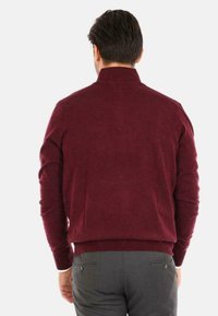 Maglione bordeaux con collo alto, realizzato in tessuto morbido, caratterizzato da maniche lunghe e orlo a coste. Indossato con pantaloni grigi.