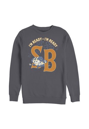 Henry Tiger SPONGEBOB SQUAREPANTS FOOTBALL SPONGE - Sweatshirt - charcoal