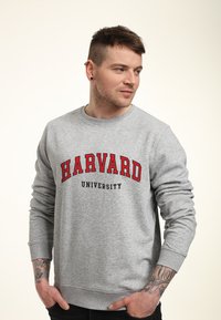 Šedá mikina s nápisem "HARVARD" v červené barvě a "UNIVERSITY" ve černé, s dlouhými rukávy a žebrovanými manžetami. Hladká textura, ležérní střih.