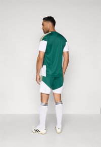 Πράσινη και λευκή αθλητική στολή με κοντά μανίκια, που διαθέτει χρυσές ρίγες. Ο σχεδιασμός περιλαμβάνει στοιχεία χρωματικού μπλοκαρίσματος και κάλτσες μέχρι το γόνατο.