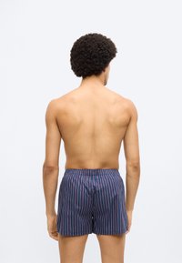 Μπλε και κόκκινα ριγέ μαγιό σορτς με ελαστική μέση, κατασκευασμένα από ελαφρύ ύφασμα· προβολή από πίσω σε μοντέλο.