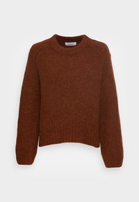 RAGLAN - Camisola - autumn leaf