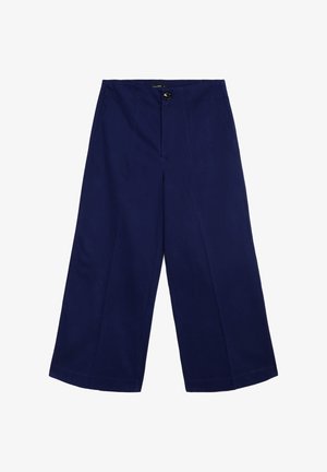 Himmelblauwe weite Hosen aus Baumwolle, mit einem vorderen Knopfverschluss, zwei Seitentaschen und einer glatten Textur.