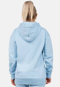 Felpa con cappuccio di un blu chiaro, realizzata in un tessuto morbido, con un ampio cappuccio e maniche lunghe. Presenta un orlo dritto e un design minimalista senza loghi visibili.