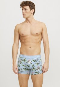 Herren-Boxershorts mit einem hellblauen Grundton, die ein tropisches Pflanzenmuster in Grün und Pink zeigen. Der Bund ist einfarbig hellblau und mit Markenlogo versehen.