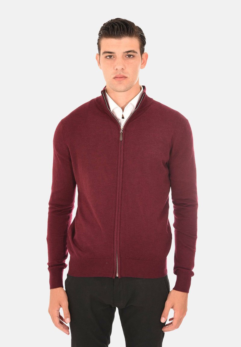 Maglione bordeaux con zip realizzato in tessuto morbido, dotato di alto collo, maniche lunghe e polsini e orlo a coste, indossato sopra una camicia bianca.