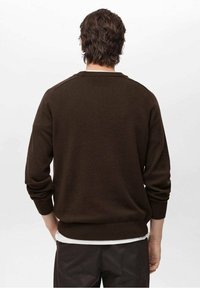 Brązowy sweter z prążkowanymi mankietami i dołem, dzianinowa tekstura, dekolt typu crew neck oraz luźny krój, pokazany z tyłu na jednolitym tle.