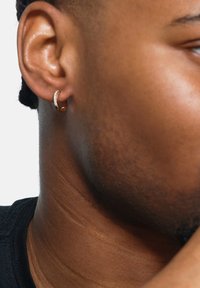Heideman FREJ MIT STEINEN - Boucles d'oreilles - goldfarbend