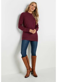 Long Tall Sally TALL CREW NECK  - Maglione - red