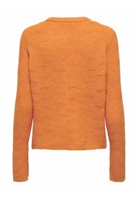 ONLY ONLLOLLI NOOS - Jumper - Russet Orange