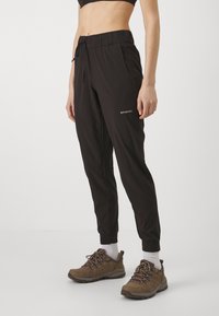 Patagonia - TERREBONNE JOGGERS - Outdoor trousers - black Thumbnail Image 1