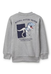 Felpa grigia con immagine di un dinosauro Tyrannosaurus rex in stile fumetto e fossile, con il testo "Museo di Storia Naturale" e "Galleria dei Dinosauri Tyrannosaurus Rex" sul retro.