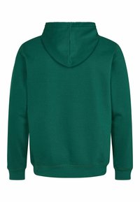 U.S. Polo Assn. TOKE - Kapuzenpullover - rain forest