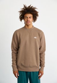 Dickies SUMMERDALE - Felpa - mushroom