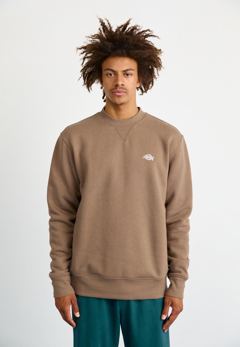 Dickies SUMMERDALE - Felpa - mushroom