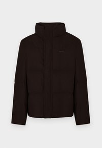 TECH JACKET - Μπουφάν με πούπουλα - dark brown