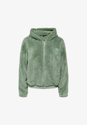 Sweat à capuche en polaire douce vert clair avec fermeture éclair intégrale à l'avant, manches longues et ourlet côtelé sur fond blanc uni.