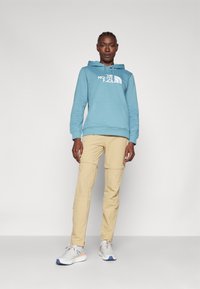 The North Face W DREW PEAK REGULAR HOODIE - Felpa con cappuccio - algae blue