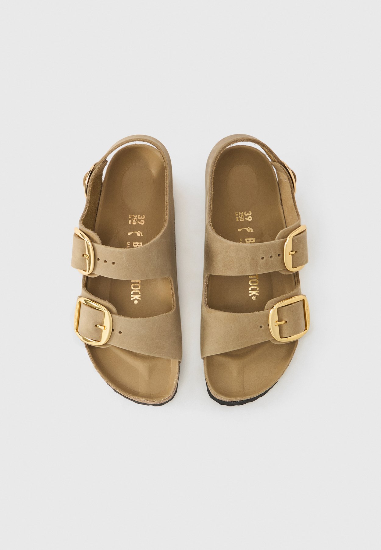 MILANO BIG BUCKLE LEOI TABACCO BROWN HEXS NARROW