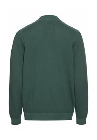 Grüner gestrickter Pullover mit einem gerippten Halsausschnitt und Bündchen. Besitzt ein strukturiertes Gewebe und ein schlichtes Rückendesign. Keine sichtbaren Logos oder Muster.