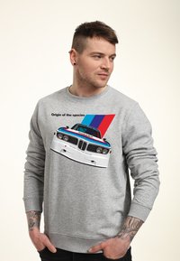 Henry Tiger ORIGIN OF THE SPECIES - Sudadera - heather grey