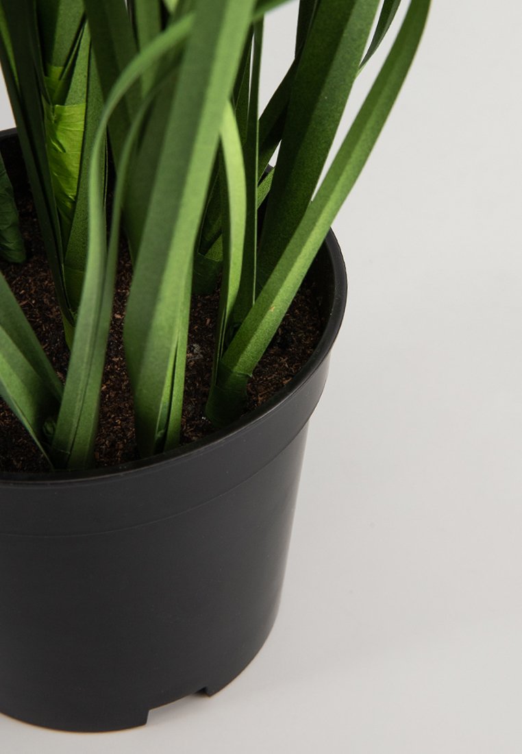 Kunstplant in zwarte pot, met lange, platte groene bladeren en zichtbare bodemtextuur. De bladeren zijn glad en hebben een levendige kleur.