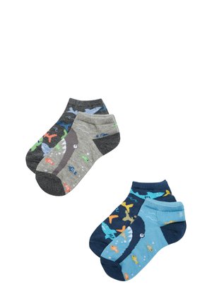PACK 4 ESTAMPADO TIBURONES - Calcetines - grey