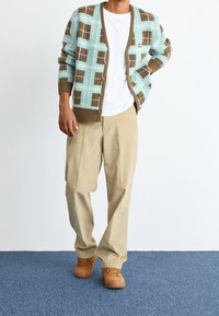 Svetr v světle modré barvě s hnědým geometrickým vzorem, doplněný béžovými kalhotami a hnědými botami. Model pózuje na jednobarevném pozadí.