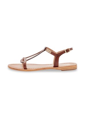 HAMESS - Sandalias - tan brosse