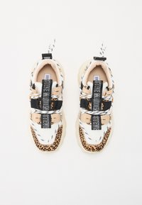 Steve Madden TAZMANIA - Trainers - brown