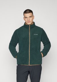 Columbia RUGGED RIDGE™ III FULL ZIP - Veste polaire - spruce/delta